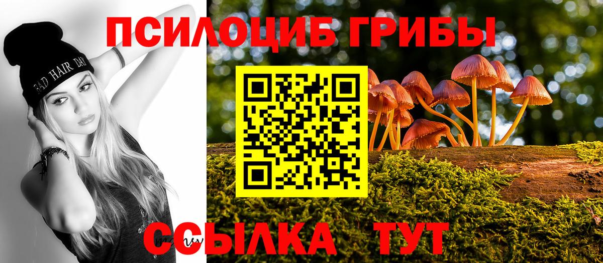 Канаш  Галлюциногенные грибы прущие грибы  Вход с VPN  Псилоцибиновые грибы GOLDEN TEACHER 